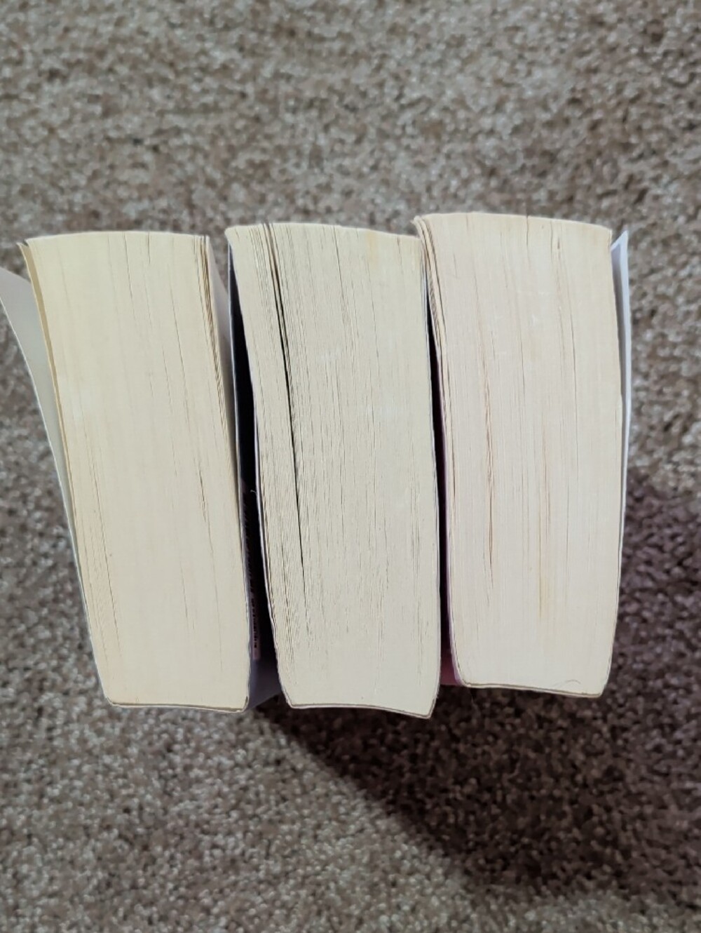 Lucy Score Trilogy Paperback Book Set - Picture 6 of 6